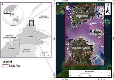 Assessing Borneo’s tropical forests and plantations: a multi-sensor remote sensing and geospatial MCDA approach to environmental sustainability